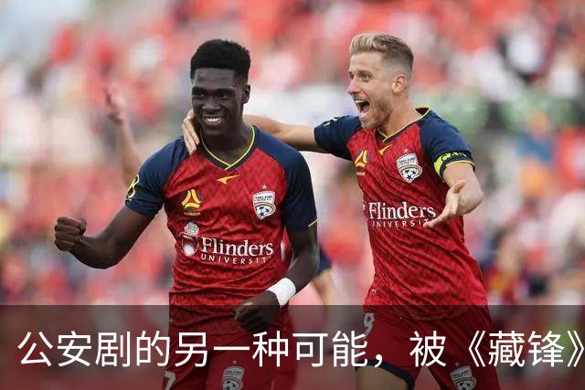 公安剧的另一种可能，被《藏锋》拍出来了