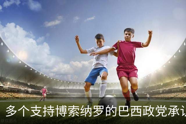 多个支持博索纳罗的巴西政党承认卢拉胜选