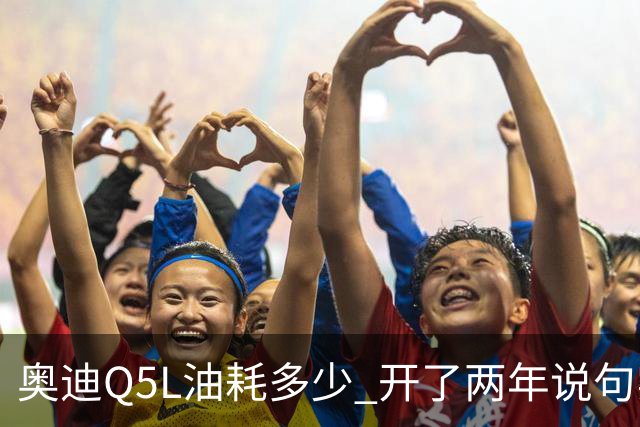 奥迪Q5L油耗多少 开了两年说句实话 家用到底香不香