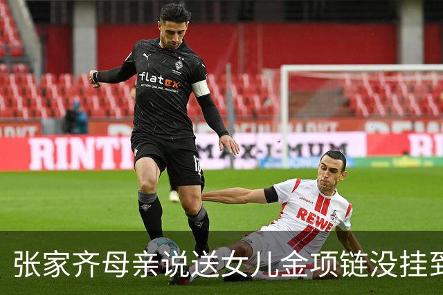 张家齐母亲说送女儿金项链没挂到她脖子上：“我跟她讲过，但没给她看过”
