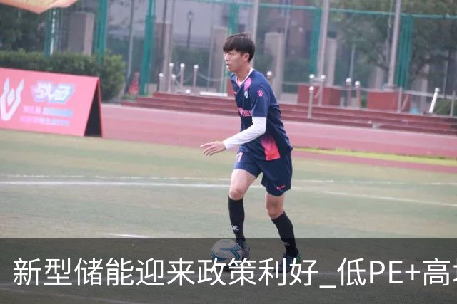 新型储能迎来政策利好 低PE+高增长潜力股出炉