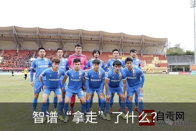 智谱“拿走”了什么？
