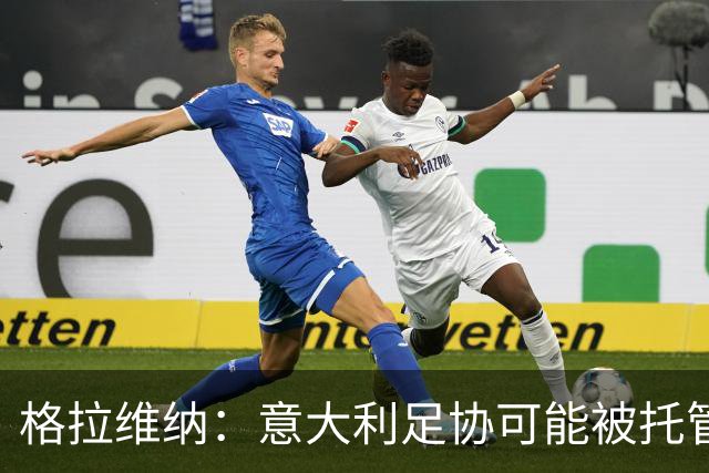 格拉维纳：意大利足协可能被托管？这不是值得骄傲的事情