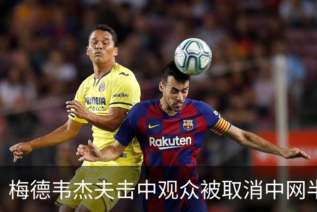 梅德韦杰夫击中观众被取消中网半决赛资格
