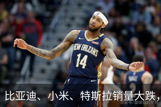 比亚迪、小米、特斯拉销量大跌，新能源轿车销量 Top10 要洗牌？