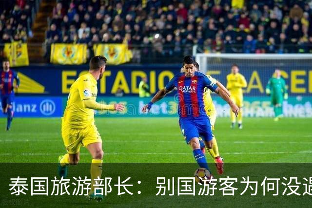 泰国旅游部长：别国游客为何没遇到绑架？