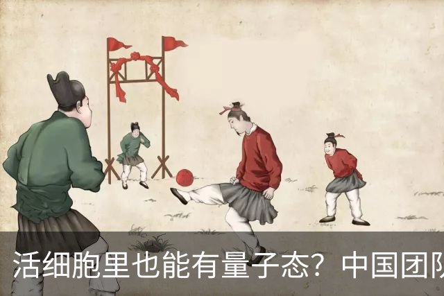 活细胞里也能有量子态？中国团队称首次探测到