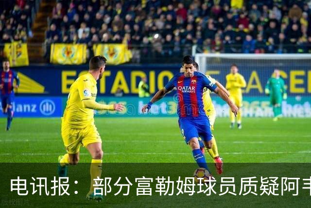 电讯报：部分富勒姆球员质疑阿韦洛亚战术，后者面临信任危机