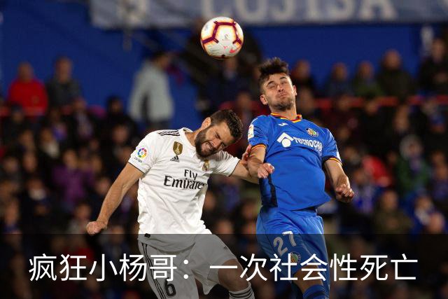 疯狂小杨哥：一次社会性死亡