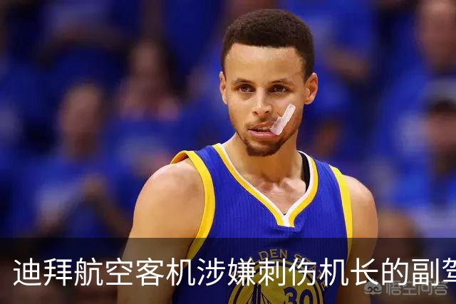 迪拜航空客机涉嫌刺伤机长的副驾驶承认意图“坠毁飞机”，乘客回忆惊险瞬间：多名乘客和袭击者搏斗，地板上全是血，不到30秒客机可能坠毁