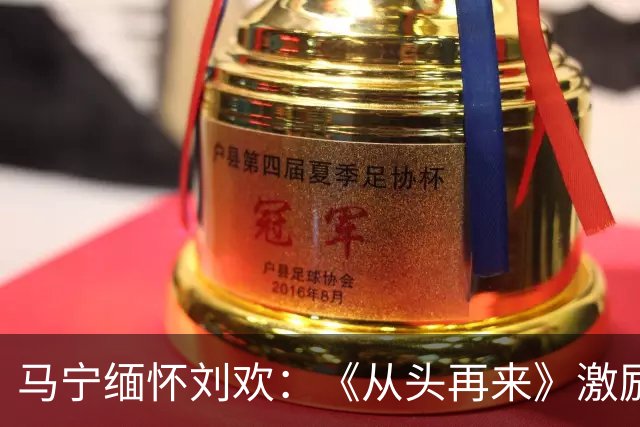 马宁缅怀刘欢：《从头再来》激励着我一次次的坚持下去