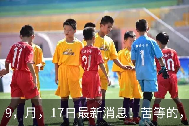 9，月，17日最新消息！苦等的，2026，退休养老金，到底会不会涨？