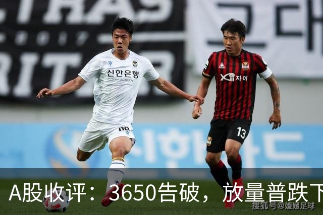 A股收评：3650告破，放量普跌下的结构性失血