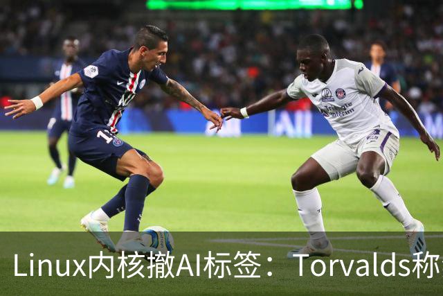 Linux内核撤AI标签：Torvalds称禁用AI愚蠢